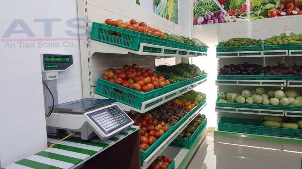 Cân điện tử thương hiệu cao, nhà cung cấp hàng đầu tại Việt Nam cho các giải pháp đo lường chính xác và bền bỉ trong siêu thị, chợ, nhà xưởng.