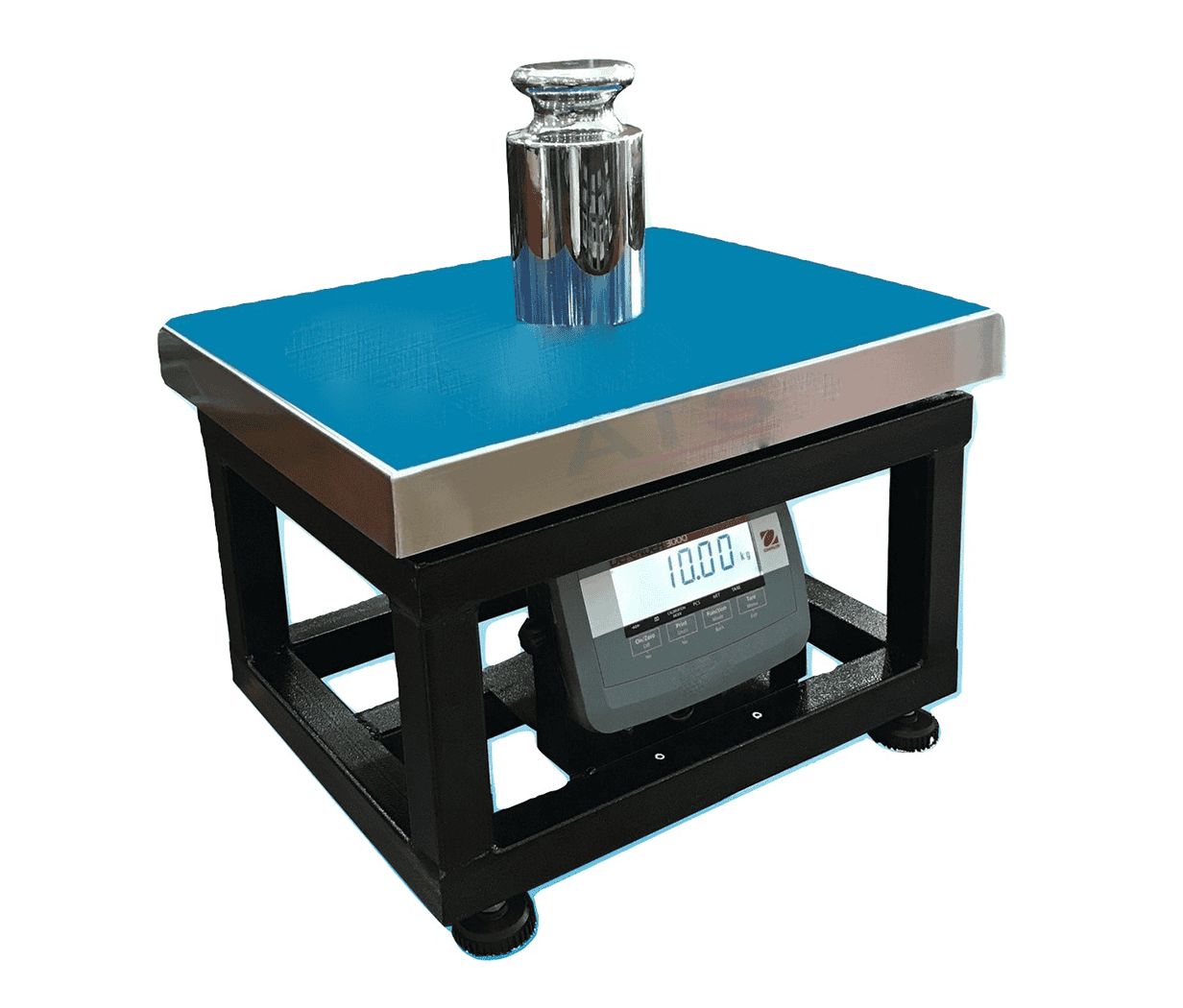 Cân ghế ngồi T31P